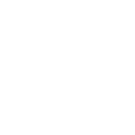 Twitter website
