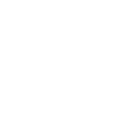 Facebook website