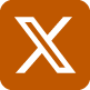 twitter icon